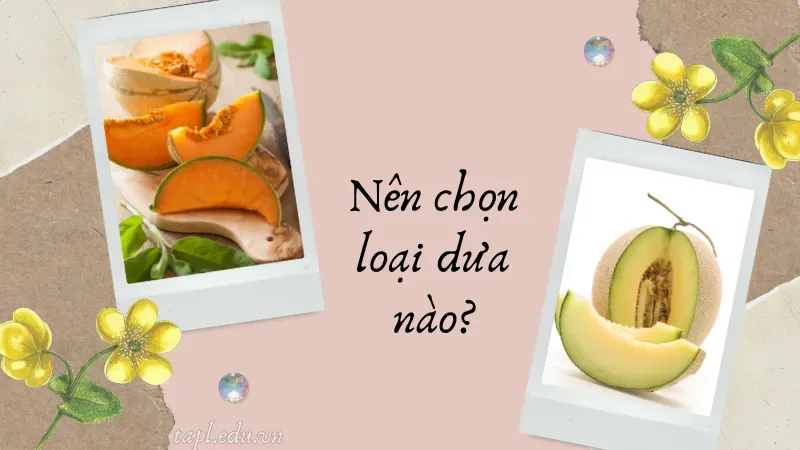 cách trồng dưa lưới 2