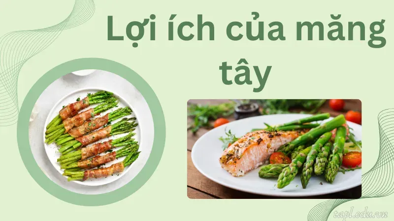 cách trồng măng tây 2