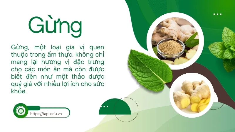 Khám phá các công dụng tuyệt vời của gừng trong ẩm thực 1