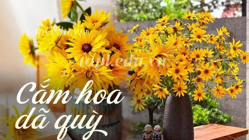 Hoa Dã Quỳ 9