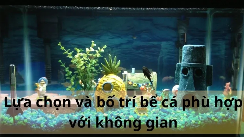 trang trí bể cá 1