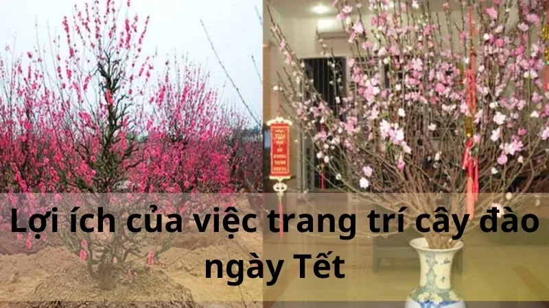 trang trí cây đào 1