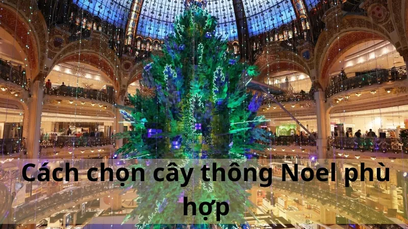 trang trí cây thông noel 3