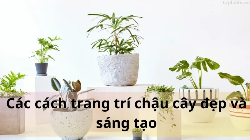 trang trí chậu cây 2