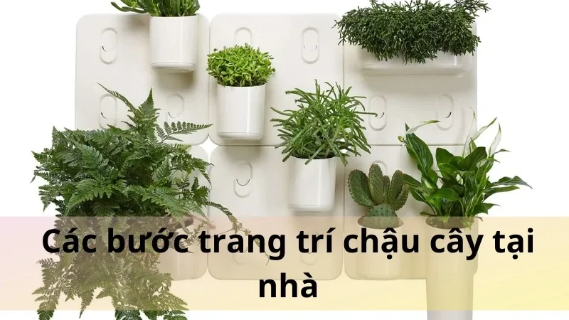 trang trí chậu cây 3