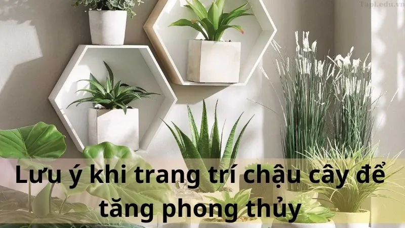 trang trí chậu cây 4