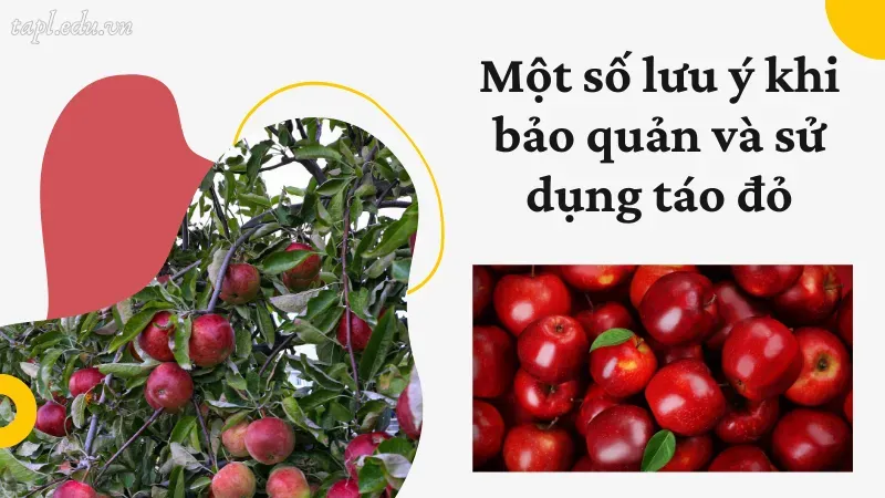 Một số lưu ý khi bảo quản và sử dụng táo đỏ