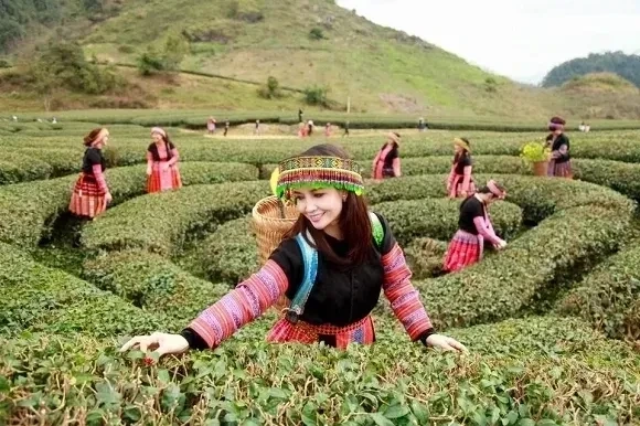 Gái dân tộc Shan, xinh đẹp với nét đặc trưng và duyên dáng