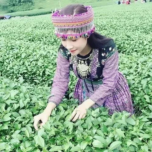 Gái dân tộc Mèo, xinh đẹp và cuốn hút với nét đặc trưng riêng