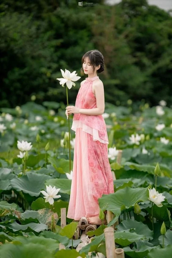 Ảnh gái quê chăn trâu với khung cảnh đồng quê bình yên, thơ mộng