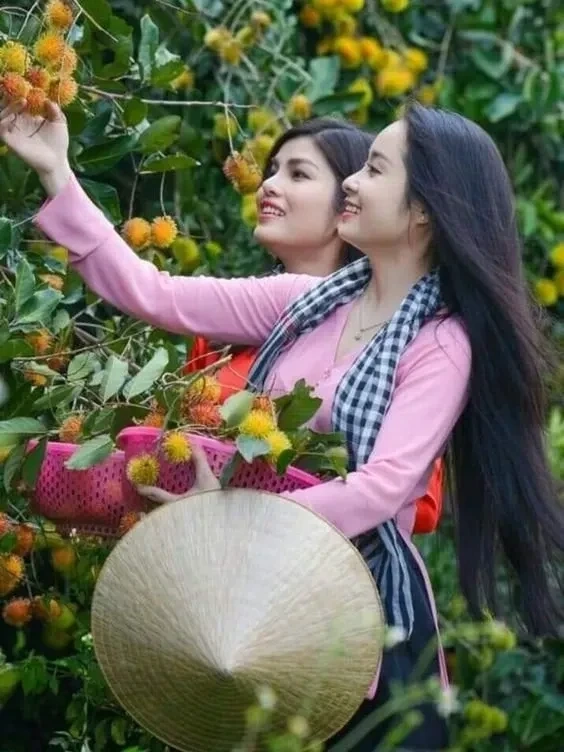 Ảnh thiếu nữ đồng quê mang nét tươi sáng, trong trẻo của thiên nhiên