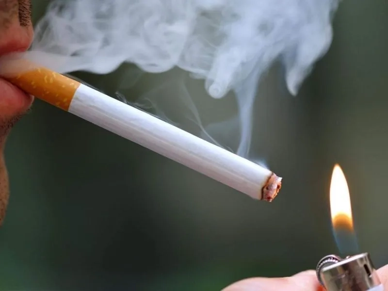 Avatar mèo hút thuốc tạo vẻ ngầu và thu hút cho nhân vật