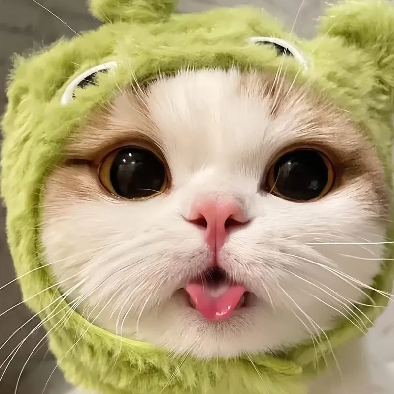 Hình nền avatar khủng long cute mang đến vẻ đáng yêu và sinh động