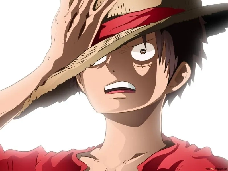 Luffy haki bá vương thể hiện quyền lực và sức mạnh tối thượng