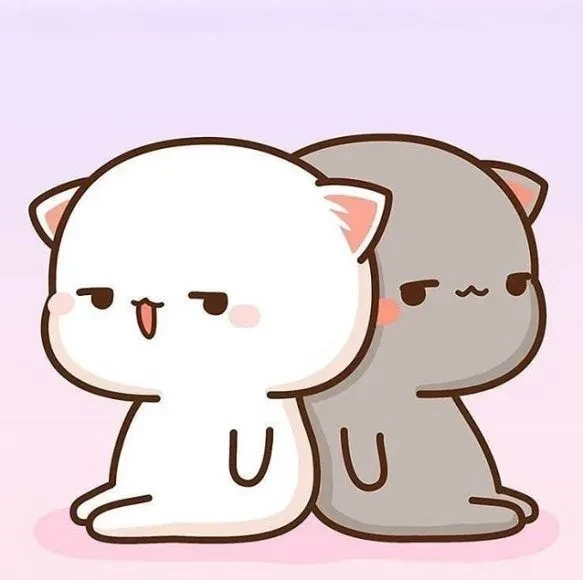 Hình ảnh meme mèo vô tri cực kỳ đáng yêu và vui nhộn