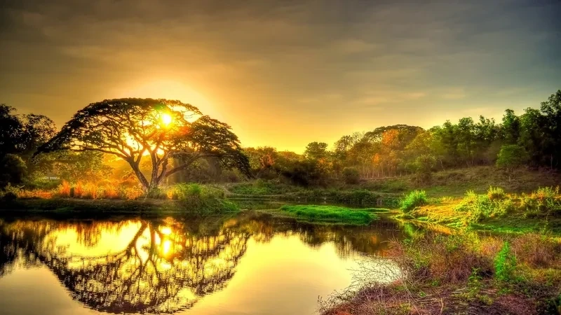 Cảnh đẹp thiên nhiên 4k mang đến vẻ đẹp tươi mới và tuyệt vời