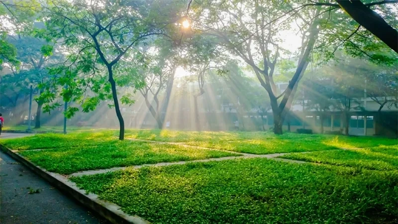 Hình ảnh thiên nhiên đẹp 4k tạo không gian sinh động và tuyệt đẹp