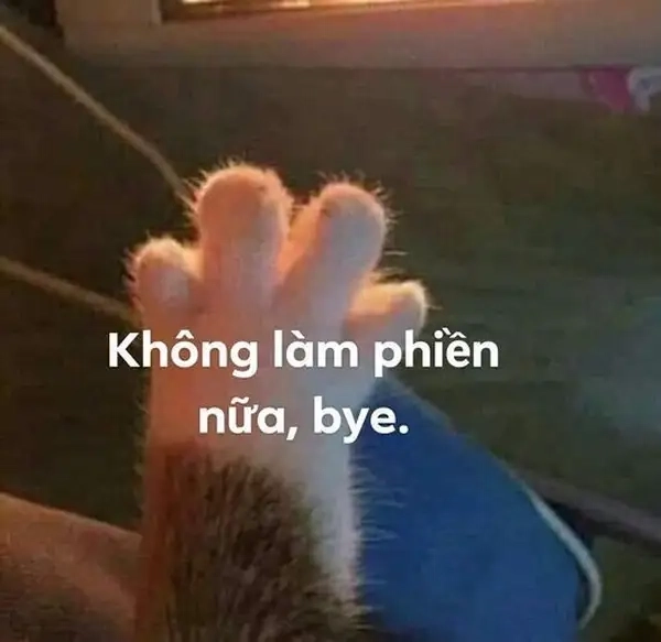 Meme goodbye sáng tạo và độc đáo mang lại tiếng cười