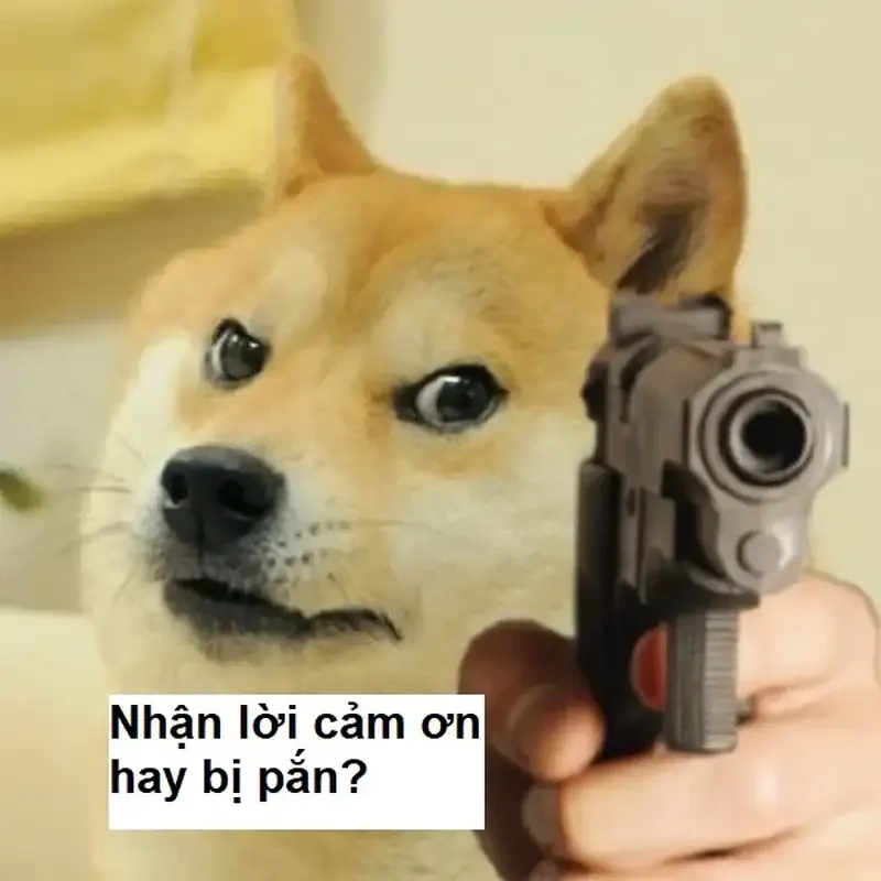 Cảm ơn ý kiến của bạn meme thú vị và độc đáo dành cho bạn