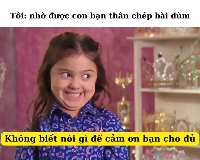 Meme cảm ơn mèo dễ thương và hài hước dành cho các fan yêu mèo