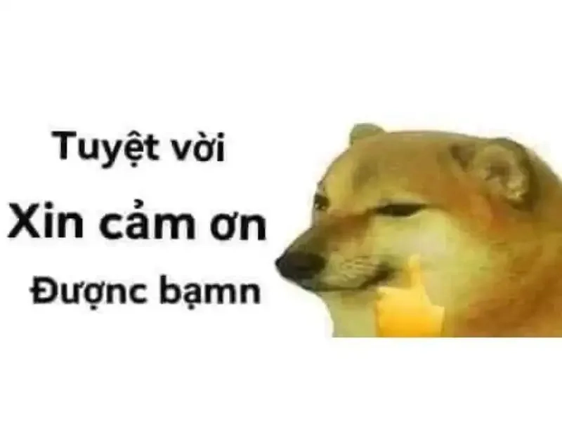 Cảm ơn cô và các bạn đã lắng nghe meme ý nghĩa và thú vị