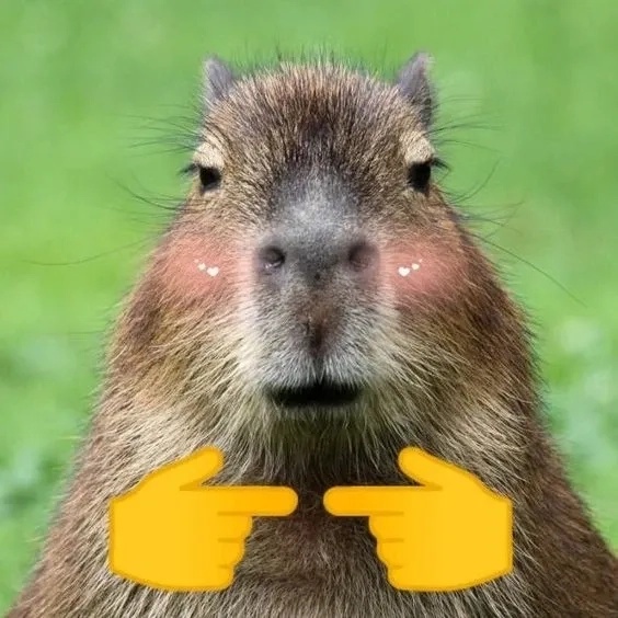 Capybara cute meme ngộ nghĩnh với biểu cảm đáng yêu thú vị