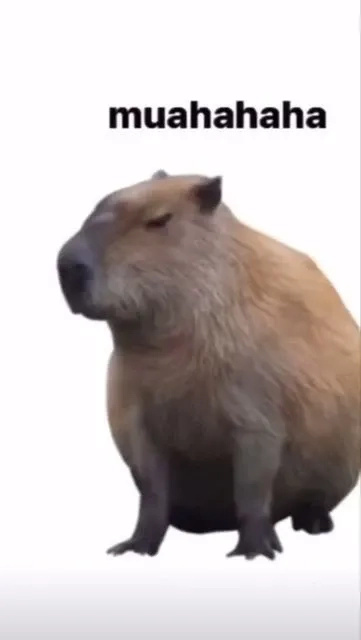 Meme capybara màu hồng sáng tạo với các tình huống độc đáo và hài hước