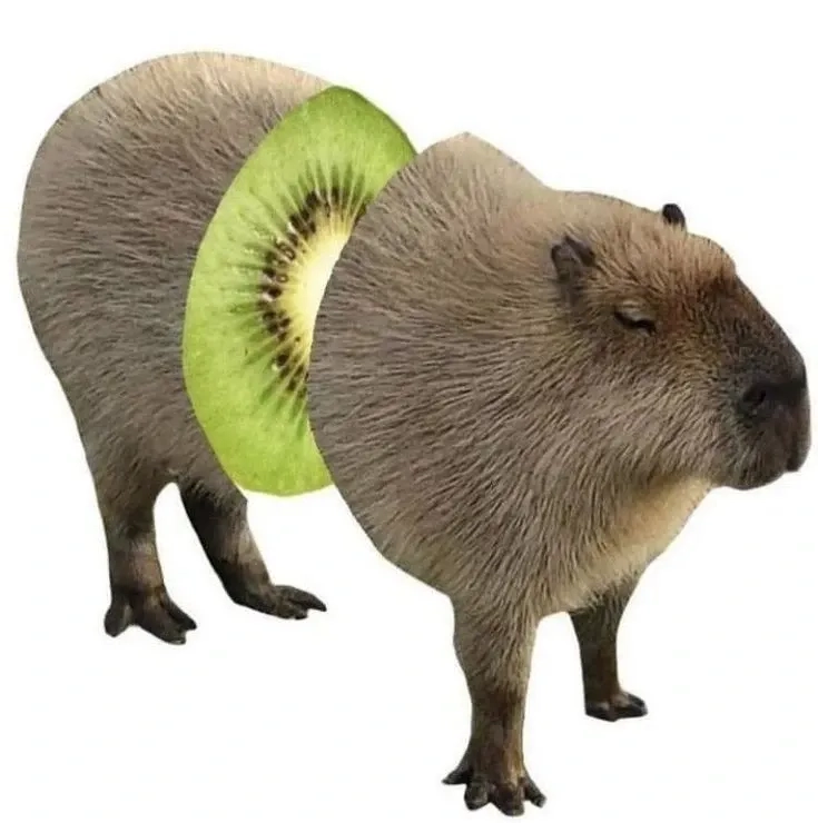 Capybara hồng meme sáng tạo với các biểu cảm ngộ nghĩnh độc đáo