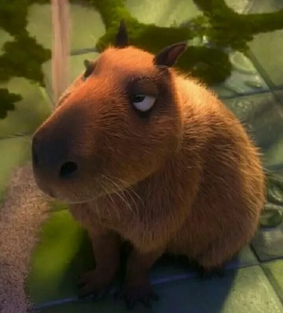 Capybara ngoại giao meme hài hước với các tình huống độc đáo thú vị