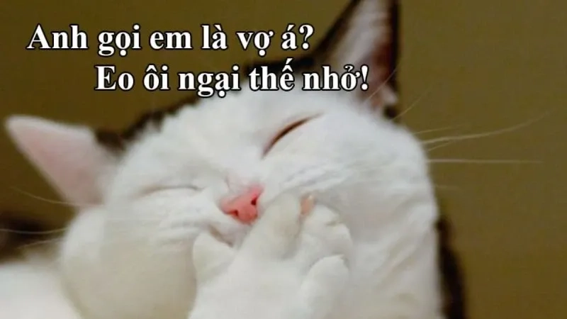 Cute ảnh meme hài sáng tạo với hình ảnh ngộ nghĩnh thú vị