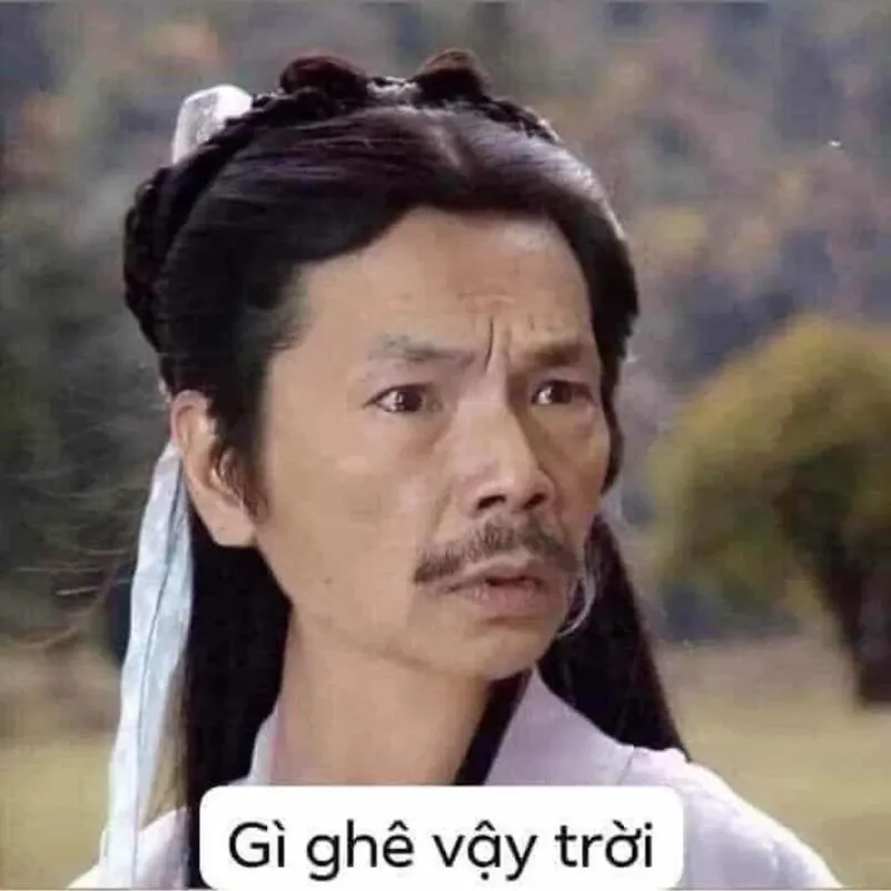 Hình meme hài hước ngộ nghĩnh với biểu cảm sáng tạo và thú vị