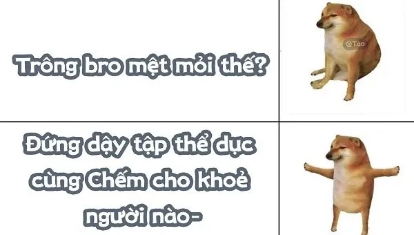 Cơ Bắp Cheems Meme Vietnam mạnh mẽ và độc đáo từ Cheems