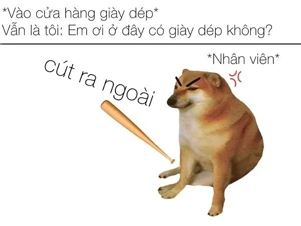 Cheems Doge Meme đầy thú vị và hài hước dành cho fan Doge