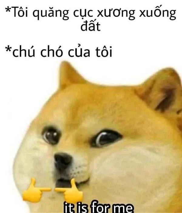 Ảnh Meme Hài Cheems hài hước và đáng yêu trong mọi tình huống