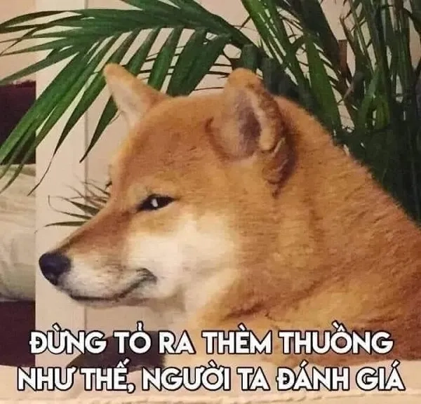 Cheems Meme Cute đáng yêu và phù hợp cho mọi lứa tuổi