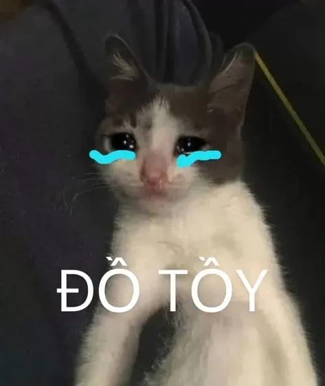 Meme crying cat hài hước với các tình huống sáng tạo độc đáo