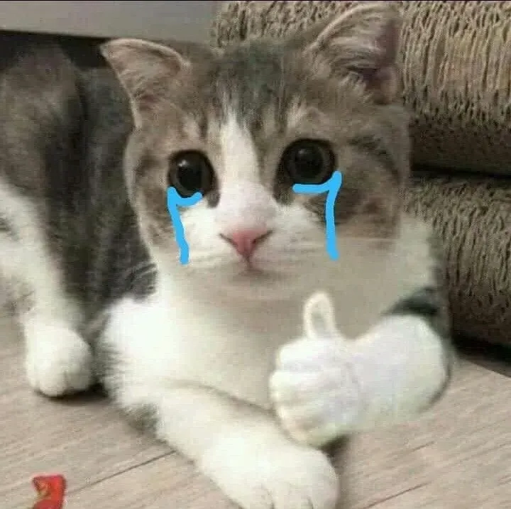 Kitten crying cats meme dễ thương với các tình huống hài hước thú vị