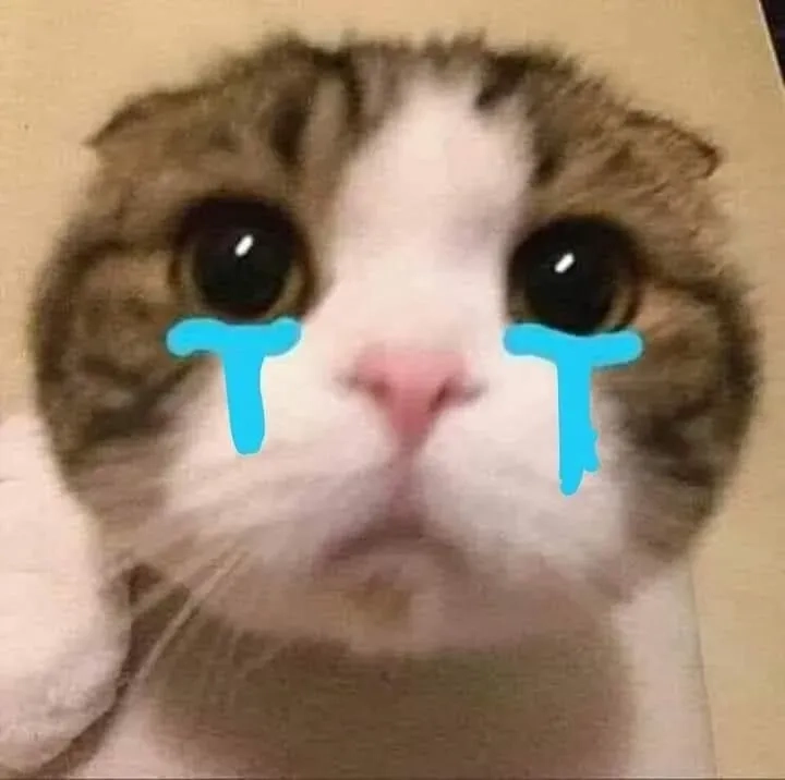 Crying banana cat meme sáng tạo với các biểu cảm độc đáo thú vị