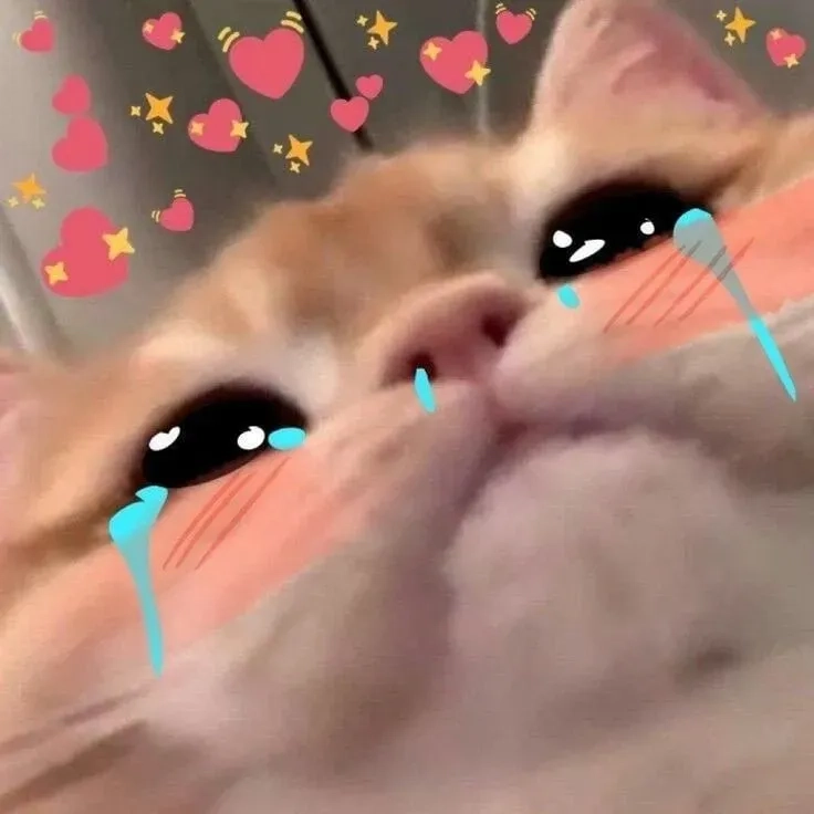 Banana cat cry meme châm biếm nhẹ nhàng với các biểu cảm hài hước