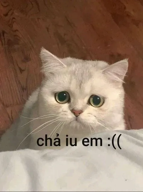 Pepe crying meme dễ thương với các biểu cảm sáng tạo độc đáo