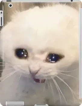 Cry about it meme dễ thương với các biểu cảm sáng tạo thú vị