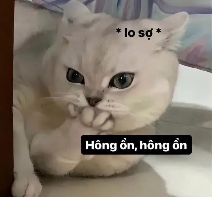 Crying girl and chad meme sáng tạo với các biểu cảm độc đáo thú vị