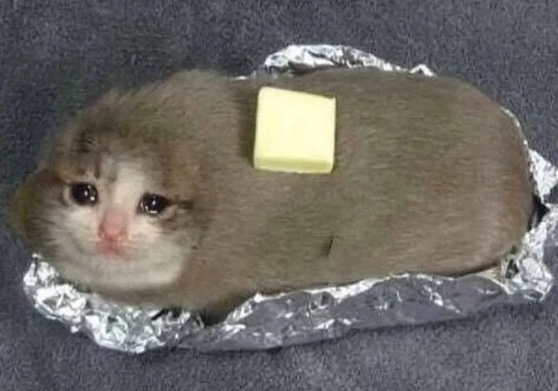 Crying banana cat meme thú vị và đáng yêu khó cưỡng