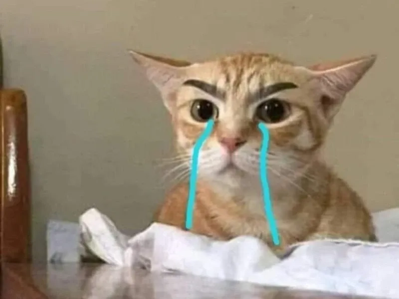 Angry crying meme ngộ nghĩnh và hài hước với biểu cảm mạnh mẽ