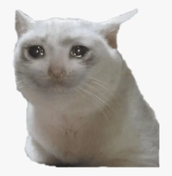 Banana cat cry meme độc đáo và đầy thú vị khó cưỡng