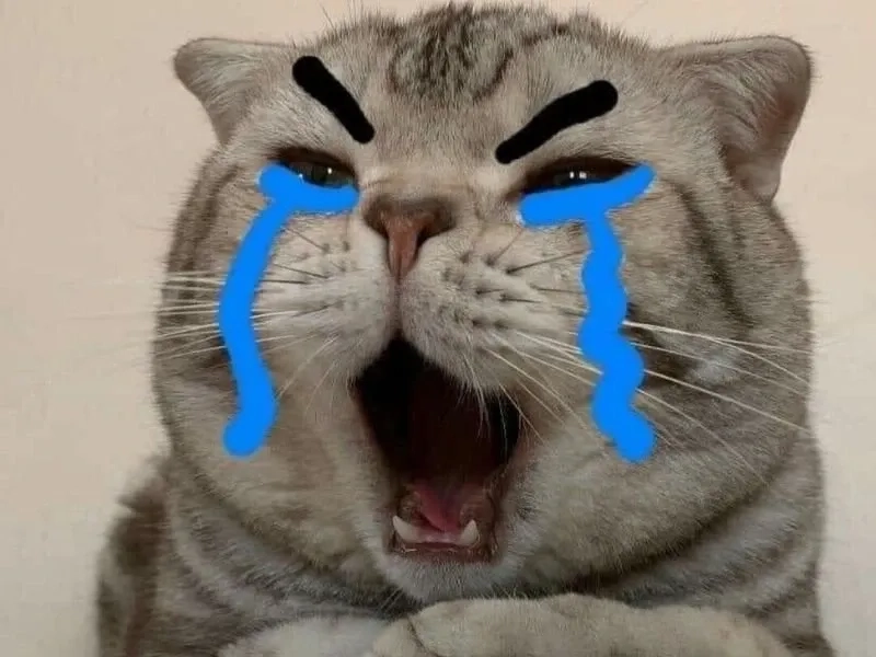 Black guy crying meme với hình ảnh hài hước và độc đáo