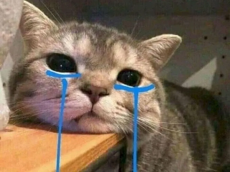 Aya asagiri crying meme độc đáo và ngộ nghĩnh khó quên