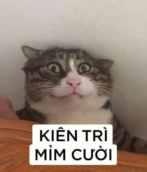 Nụ cười nham hiểm meme độc lạ và thú vị mang lại tiếng cười vui vẻ