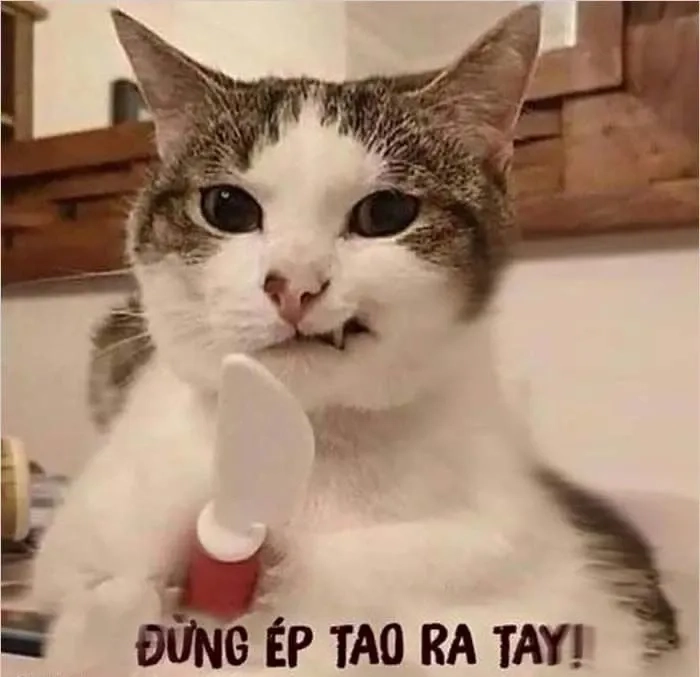 Meme giận dỗi cute ngộ nghĩnh và sáng tạo mang lại tiếng cười