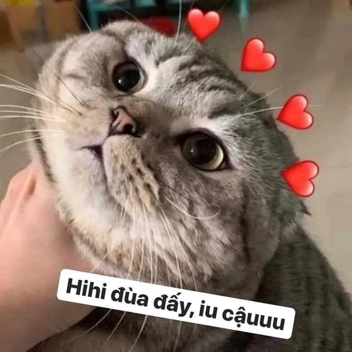 Hài hước cute ảnh người que meme thú vị và đáng yêu chia sẻ